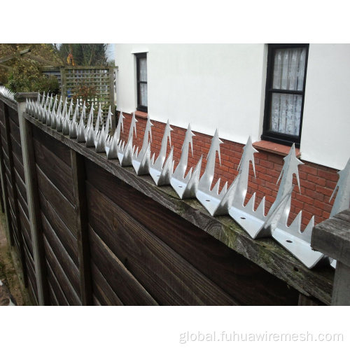 Bird Repeller Plastic Fence Wall Spikes galvanized steel wall spike/bird spike anti-climb Supplier